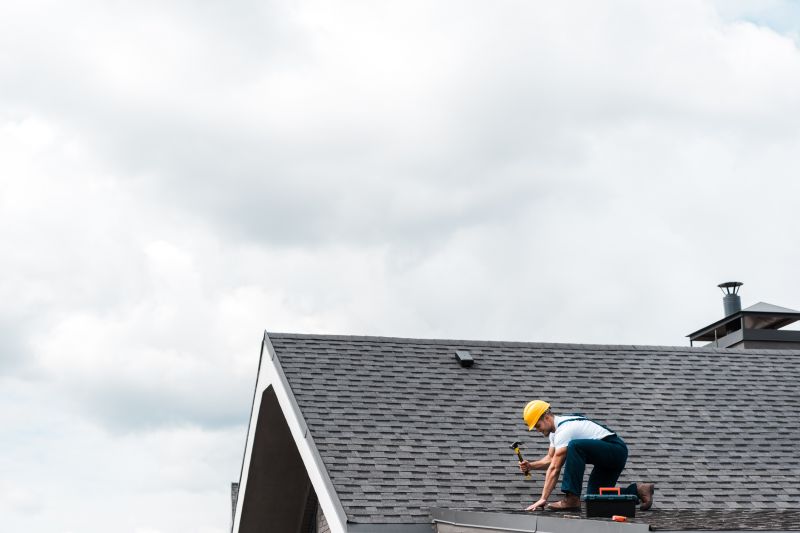 Professional Roofing Consultation